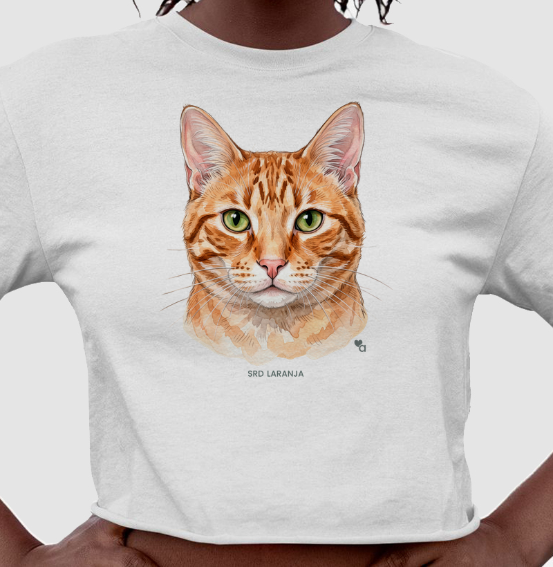 Gatos - SRD Laranja - Cropped