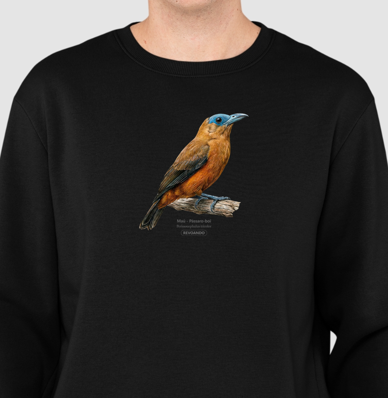 Traços Alados - Maú - Moletom