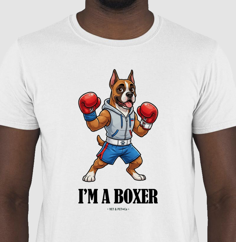 I'm a Boxer (Boxer)