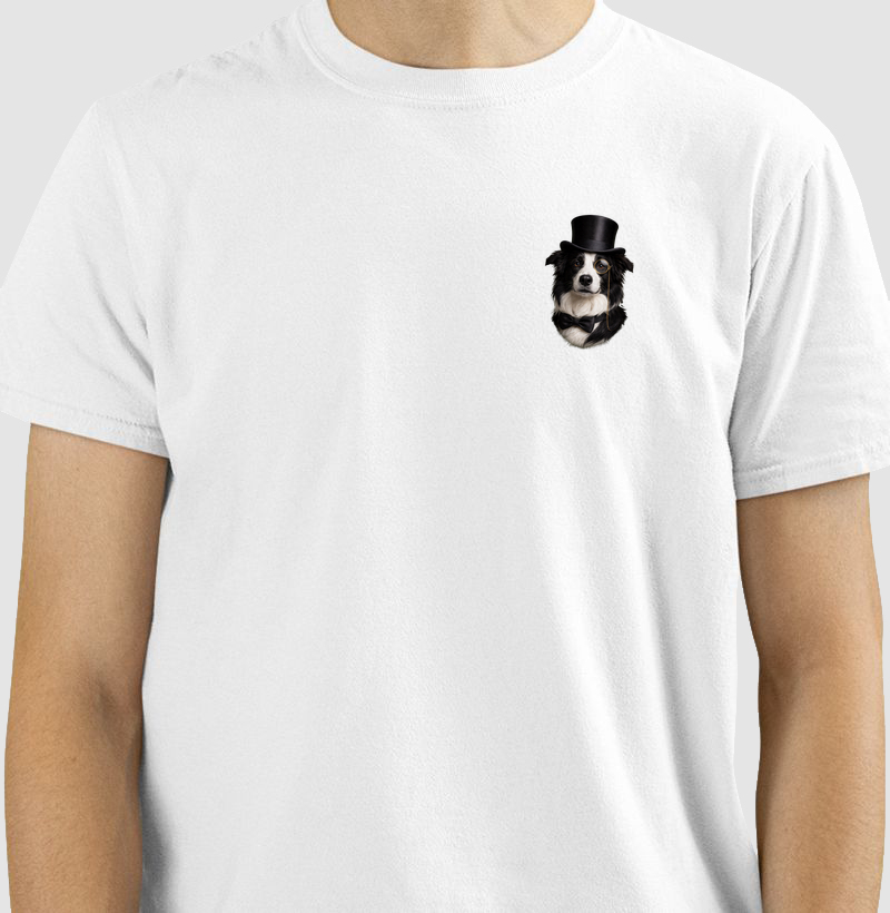 Border Collie - Gentleman