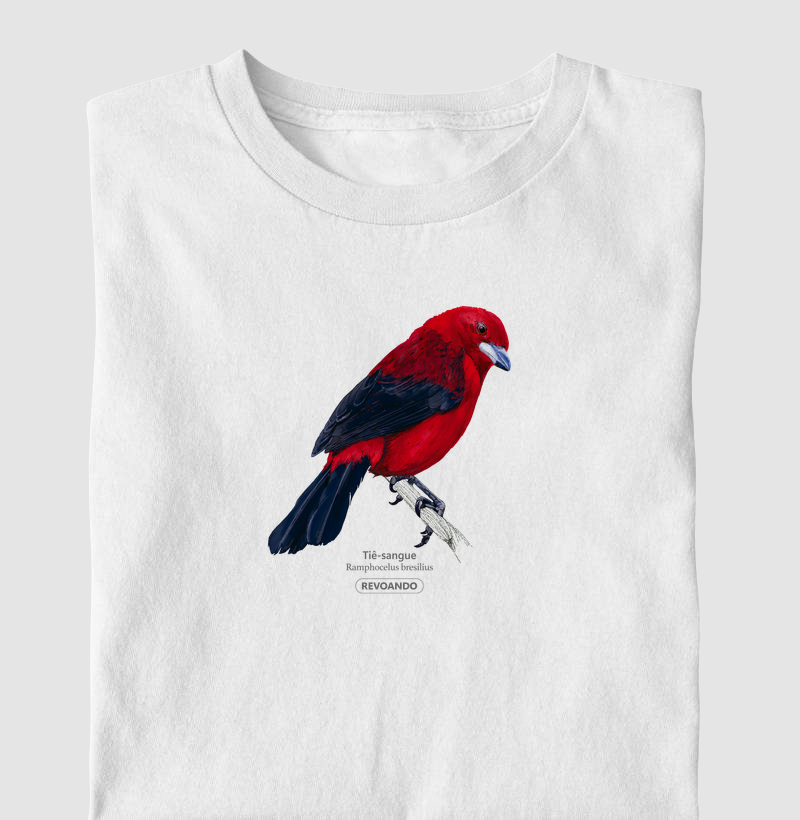 Aves do Brasil - Tiê Sangue