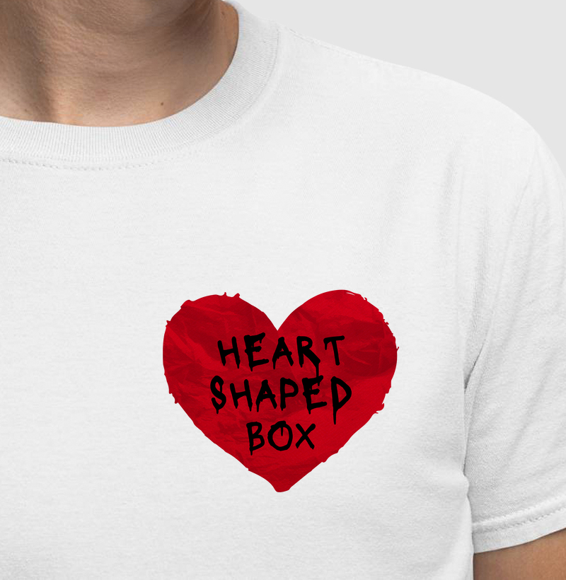 Nirvana - Shaped Box mininalista