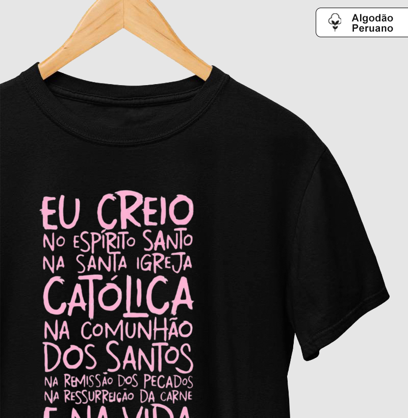 Creio na Santa Igreja Católica 