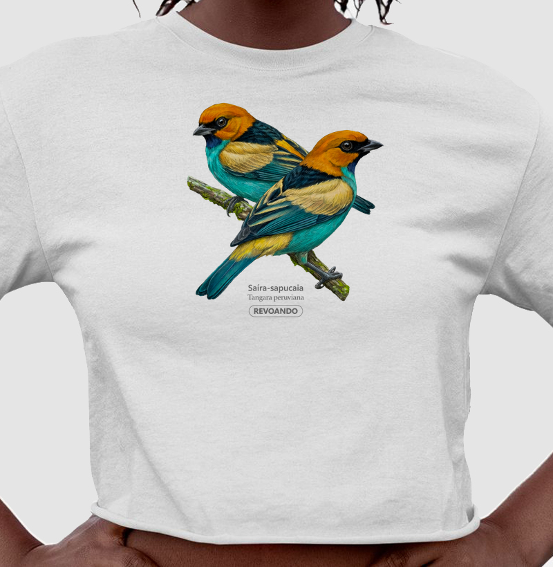 Traços Alados - Saíra-sapucaia - Cropped