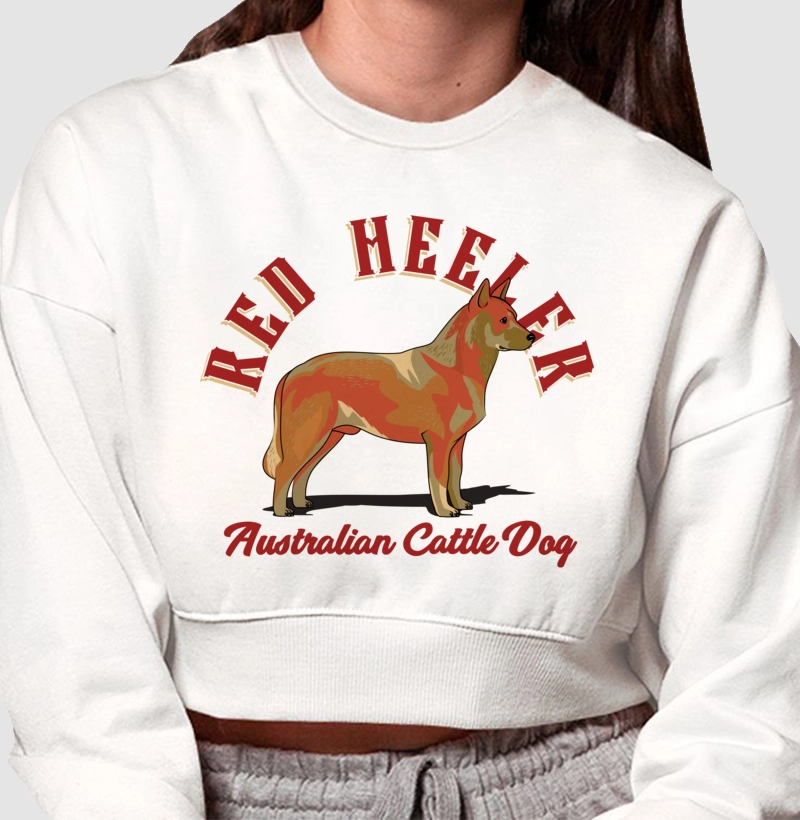 Australian Cattle Dog Red
