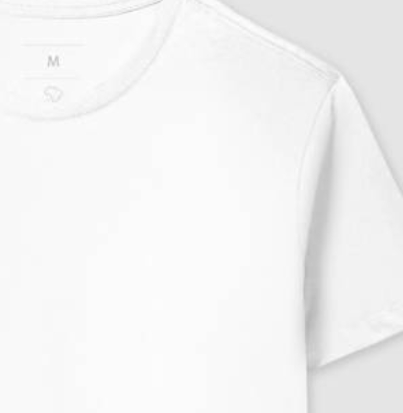 Camiseta Lisa