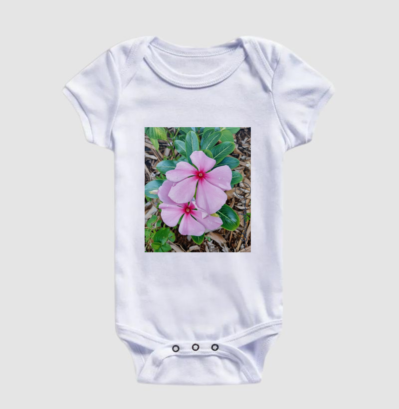 Vinca de Madagascar (tela)