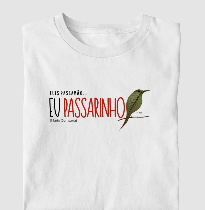 Eu Passarinho Little Birds