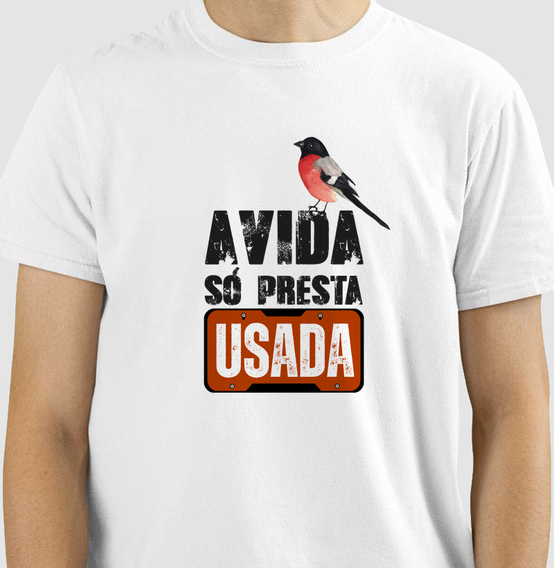 A Vida Só Presta Usada