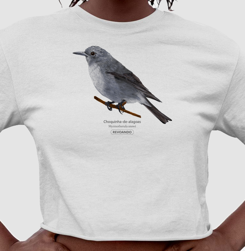 Inky Aves - Choquinha-de-alagoas - Cropped