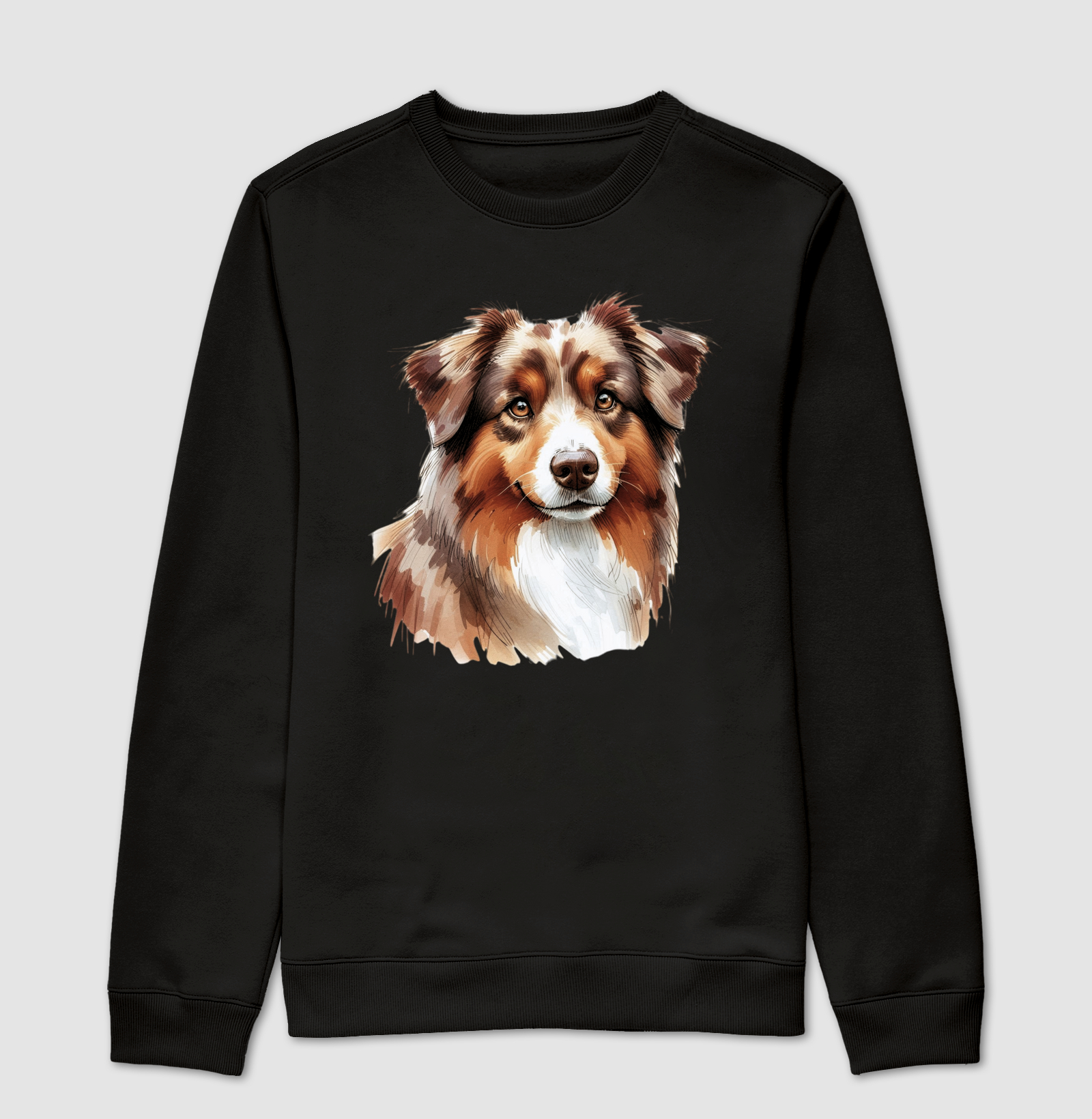 Australian Shepherd Red Merle 03
