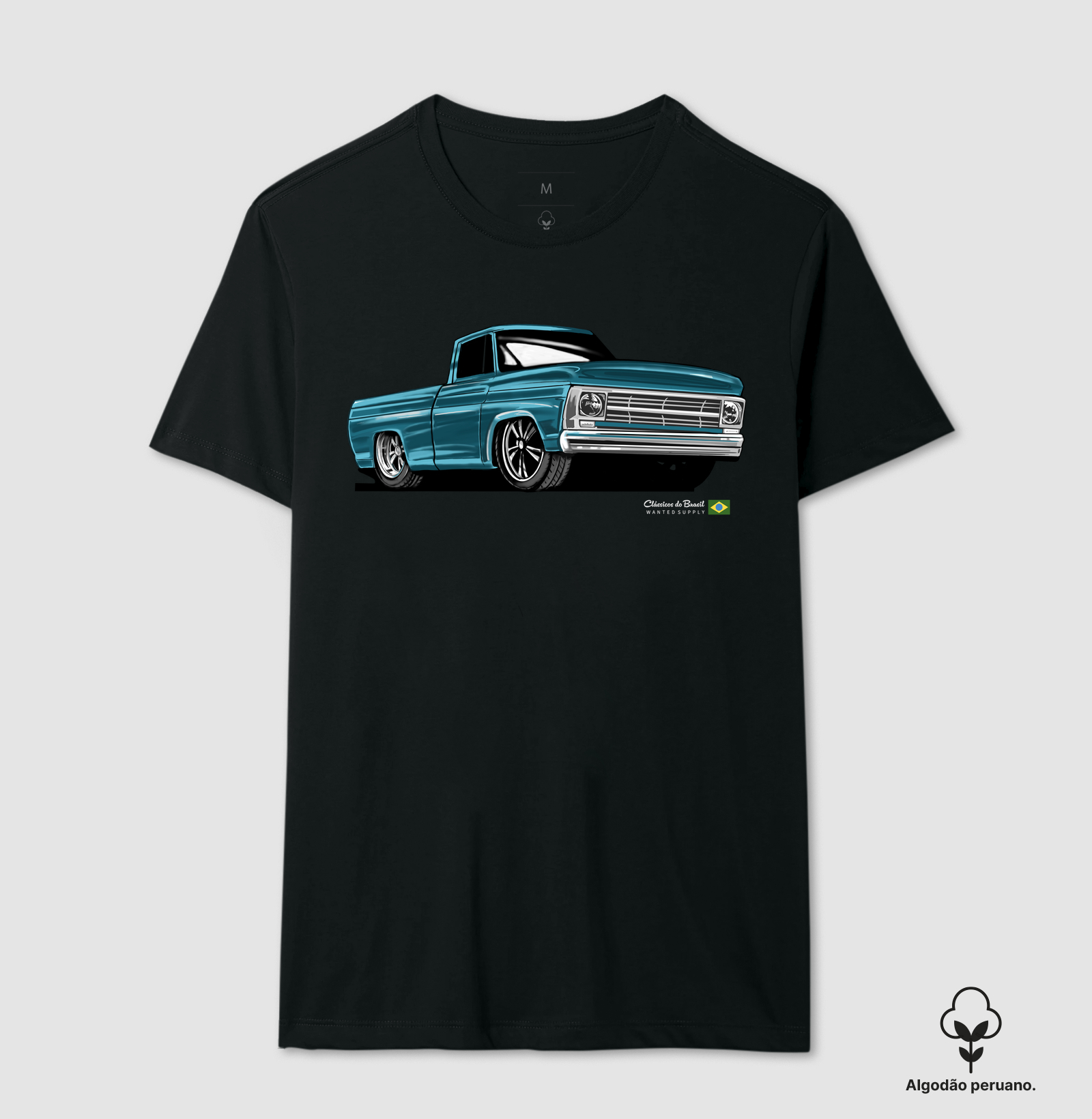 Camionete F 100