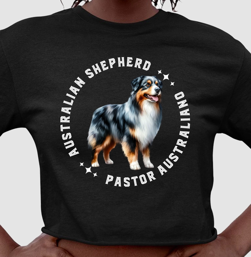 Australian Shepherd Stars