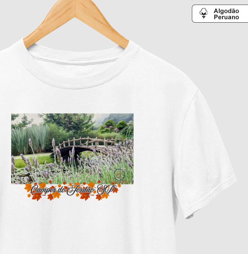 Campos do Jordão SP (tela)