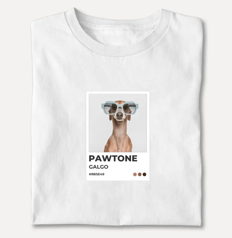 Pawtone Galgo 