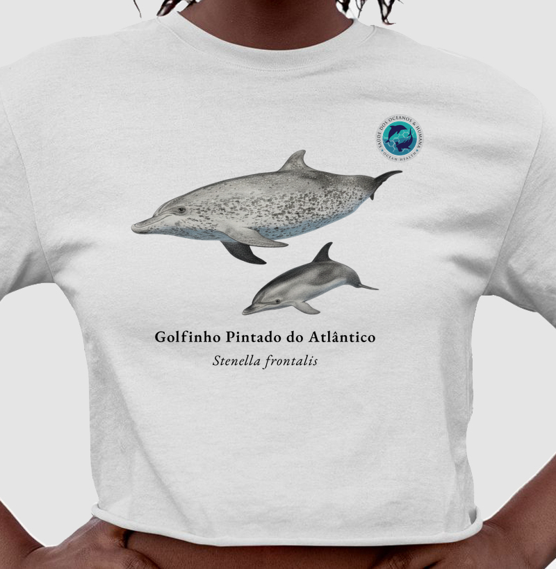 Golfinho Pintado do Atlântico