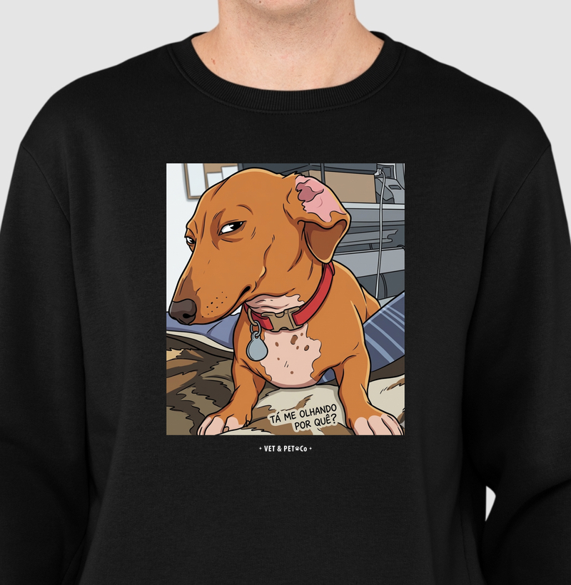 Tá me olhando por quê? (Dachshund)