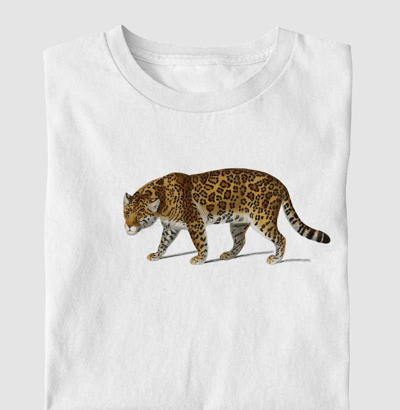 Onça-pintada