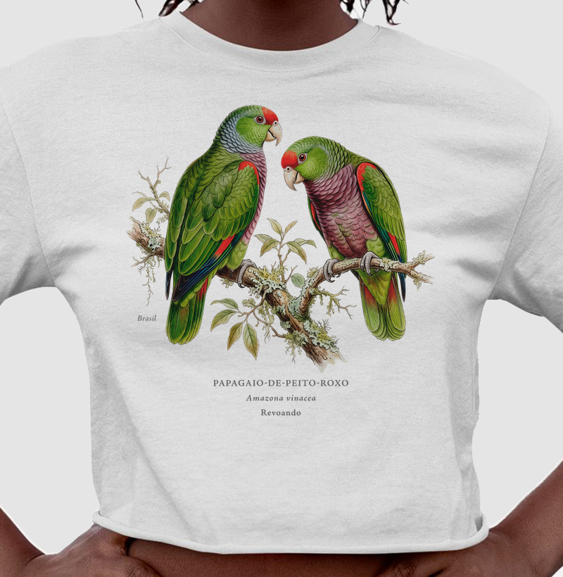Naturalistas - Papagaio-de-peito-roxo - Cropped - Cropped