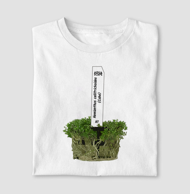 Coleção: Plantas do Aquapaisagismo - Hemianthus callitrichoides (Cuba)