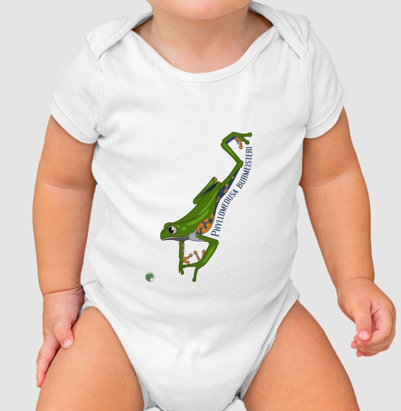 Phyllomedusa burmeisteri