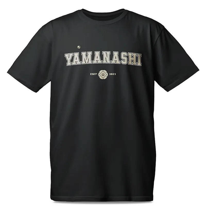 Província de Yamanashi