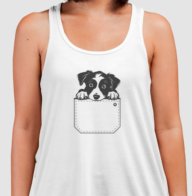 Border Collie no Bolso