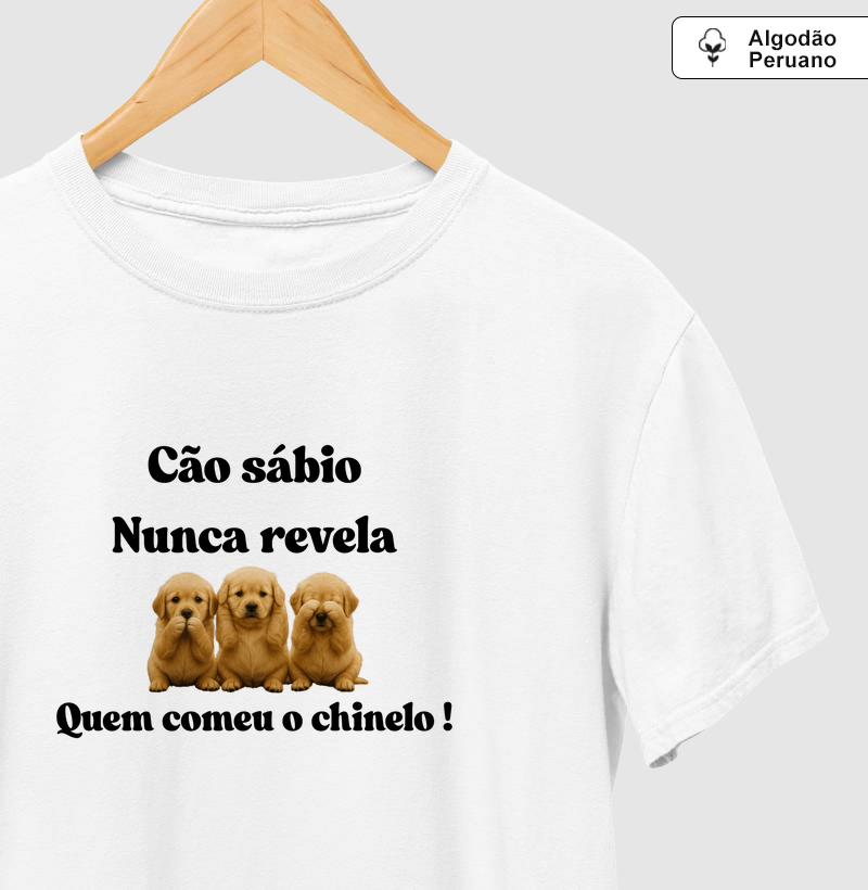 Cão sábio nunca revela quem comeu o chinelo!