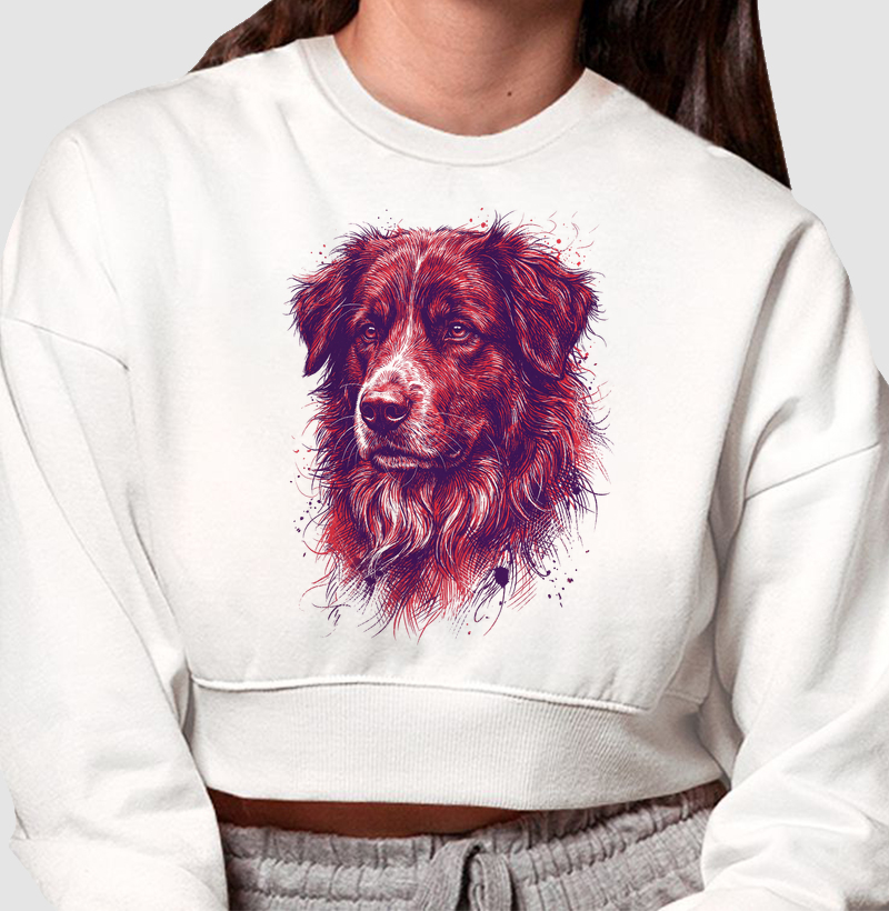 Terra Gaúcha - O Ovelheiro Gaúcho