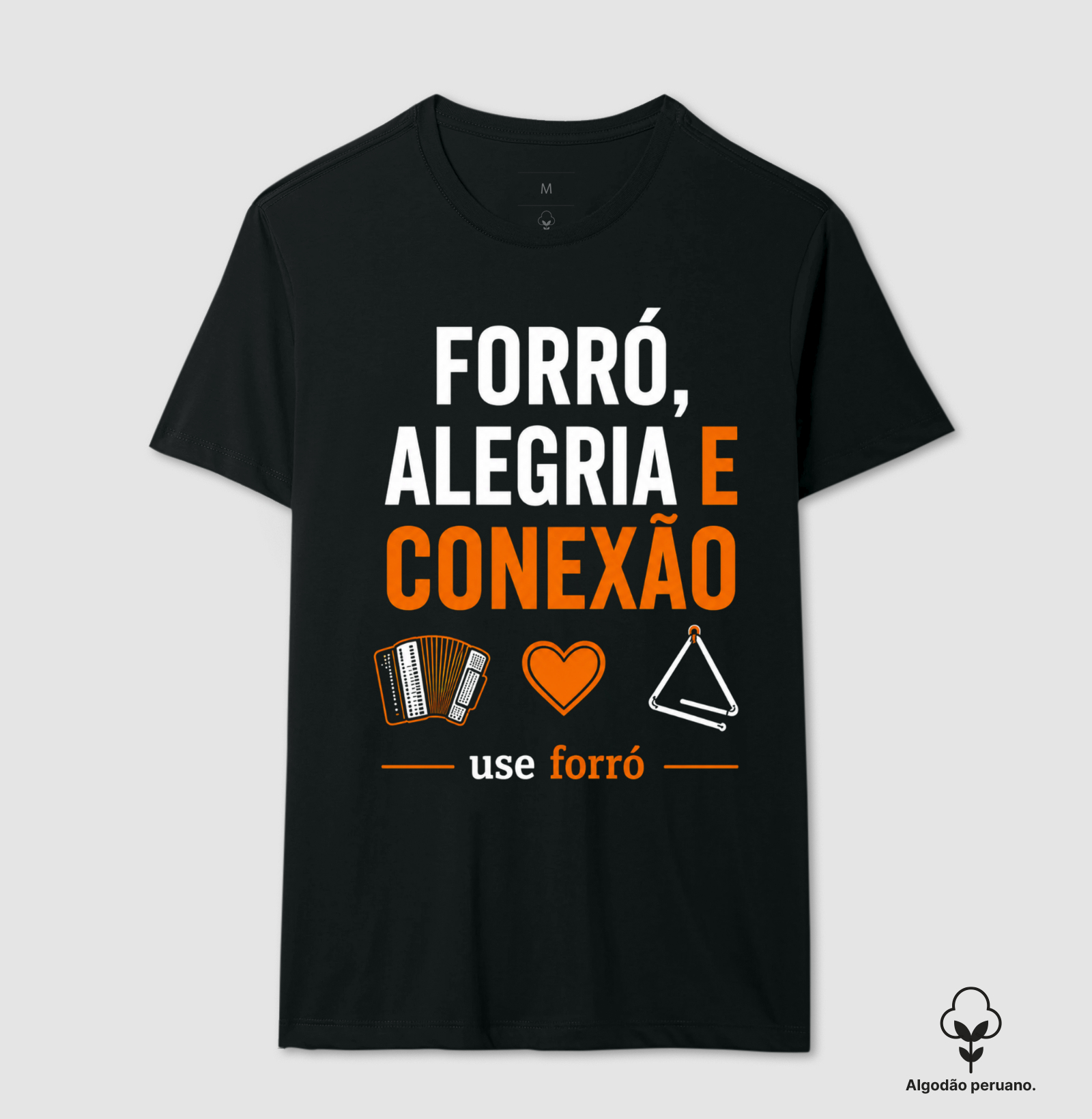 Forró, Alegria e Conexão