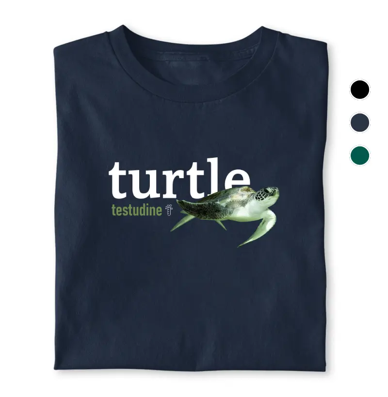 Turtle