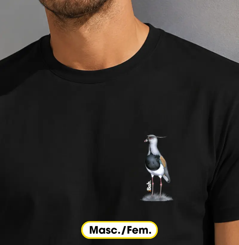 Quero-Quero