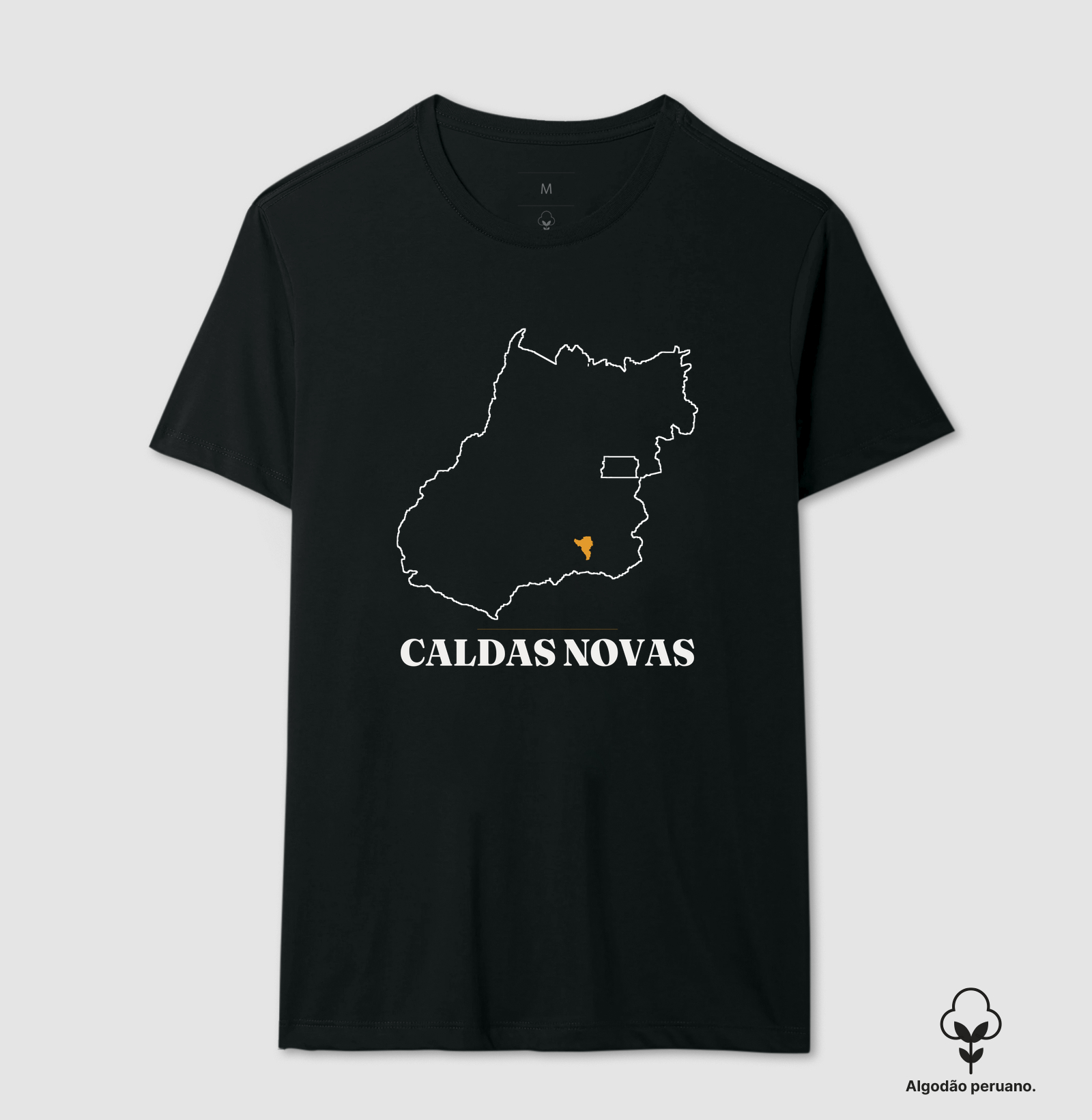 Caldas Novas | Traço GO