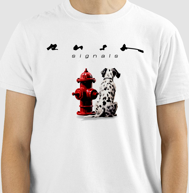 CAMISETA COM ESTAMPA RUSH SIGNALS