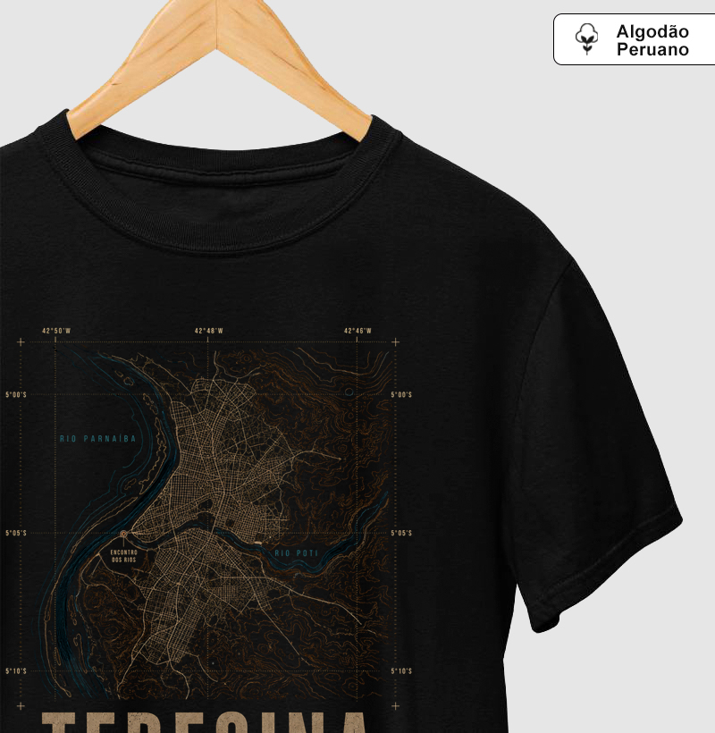 Teresina Cartográfica