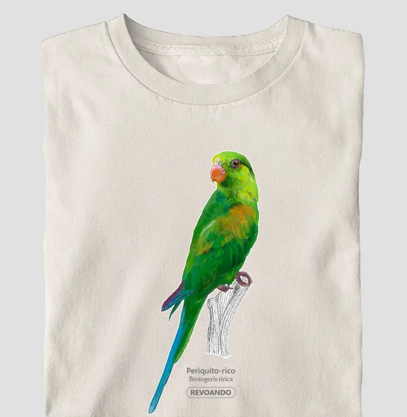 Aves do Brasil - Periquito-rico - Oversized