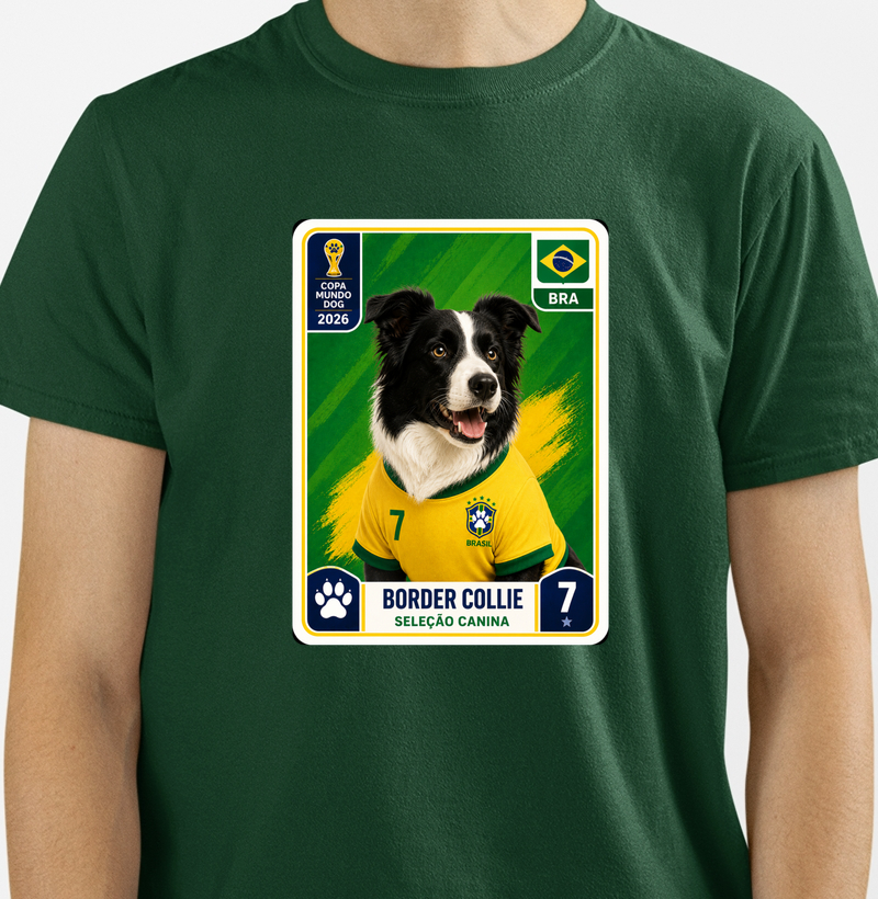 Border Collie  - Seledogs
