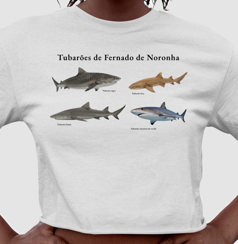 Tubarões de Fernando de Noronha