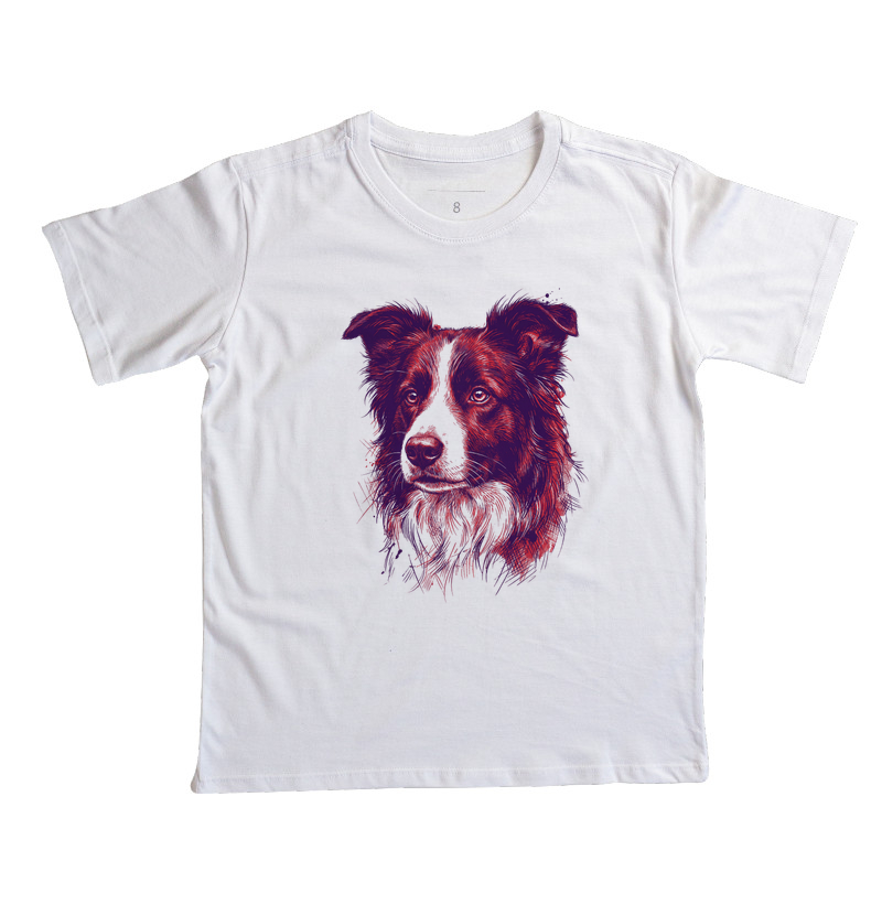 Terra Gaúcha - O Border Collie