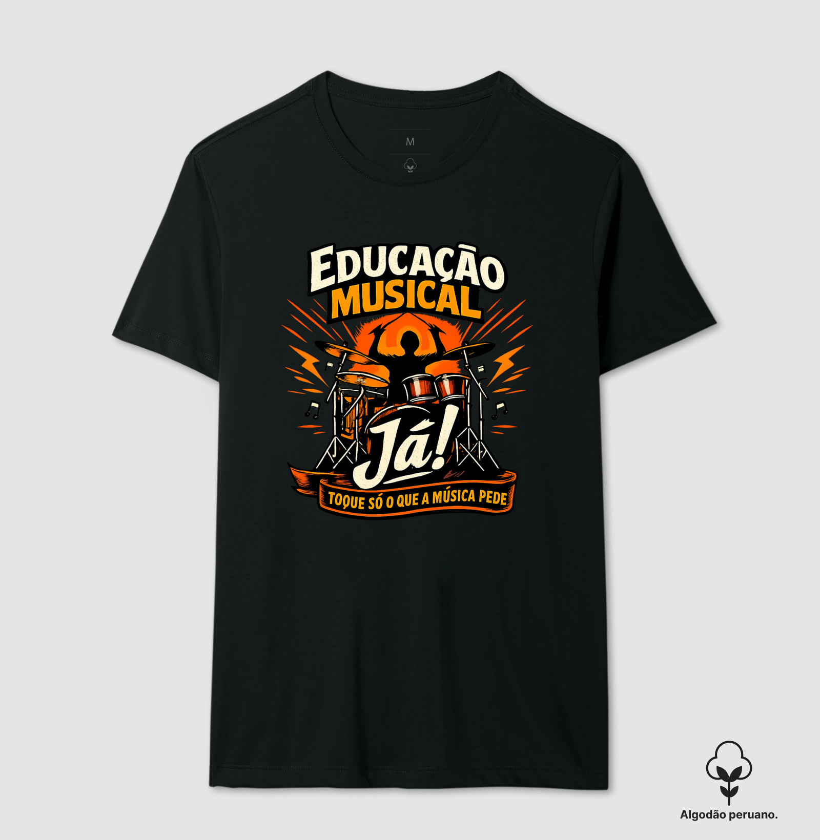 Educação Musical Já