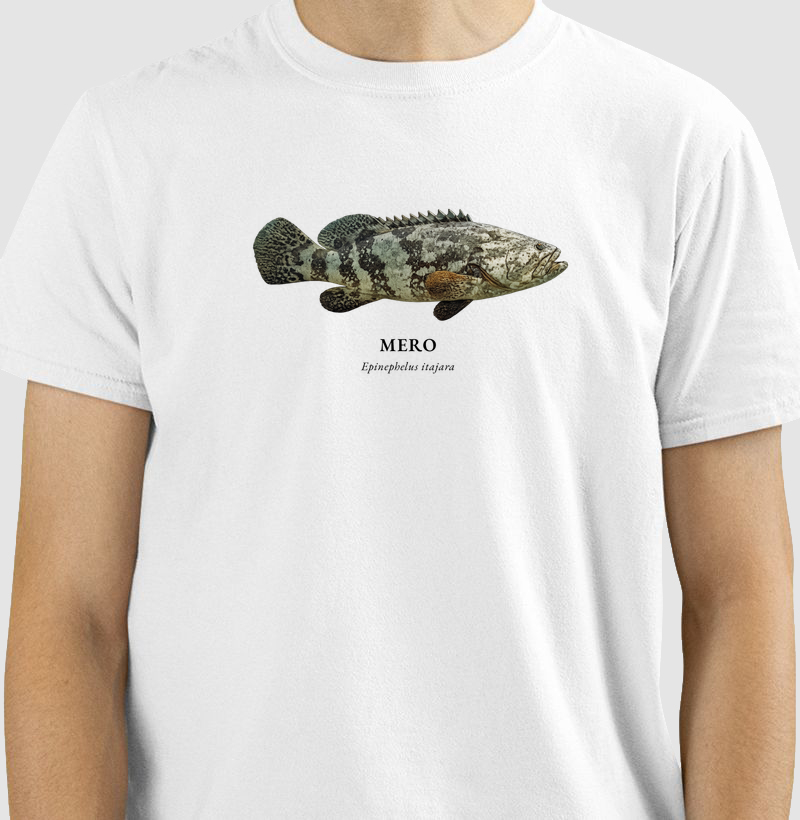 Camisa 0