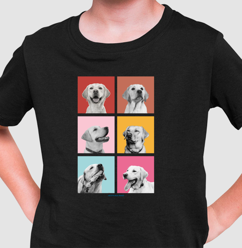 Faces Labrador