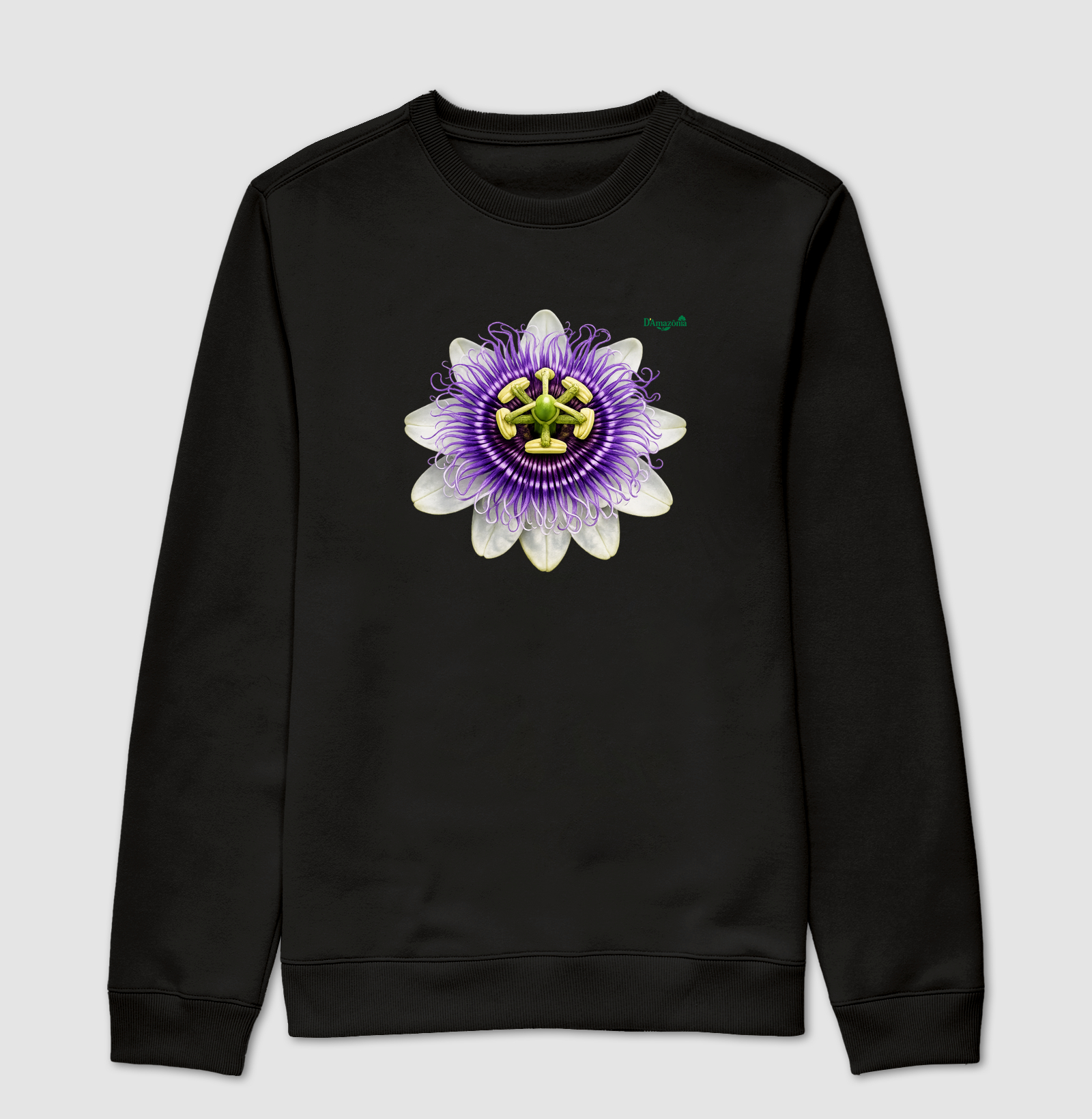 Flor da paixão
