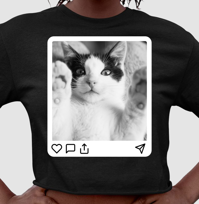 Purrfect Post 