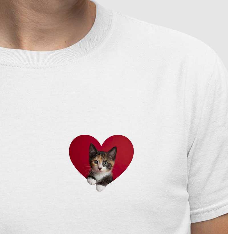 Meu Coração é Tricolor