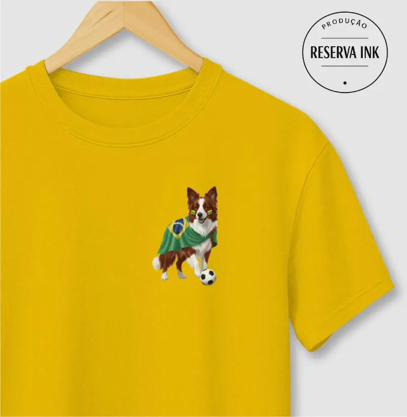 Border Collie Claro - Seleção Canina