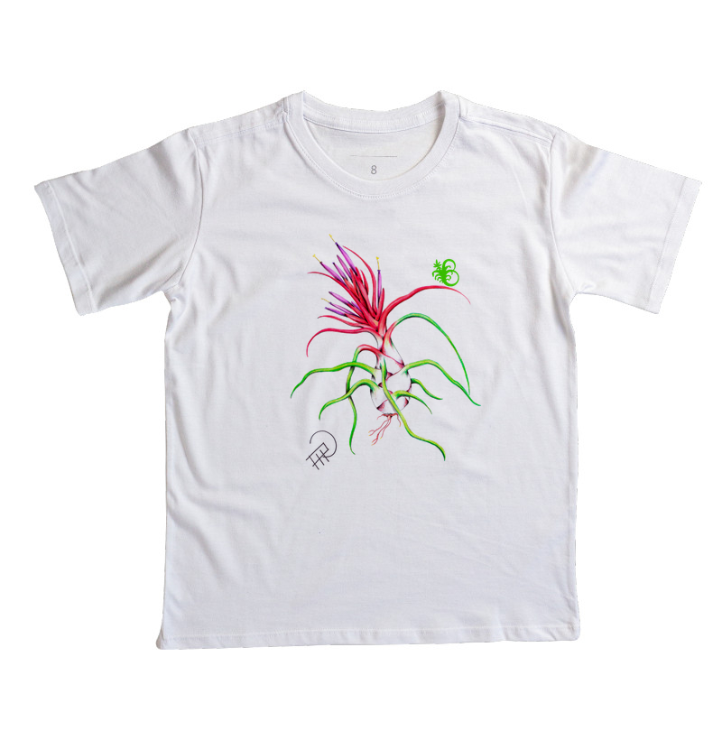 BULBOSA MINI