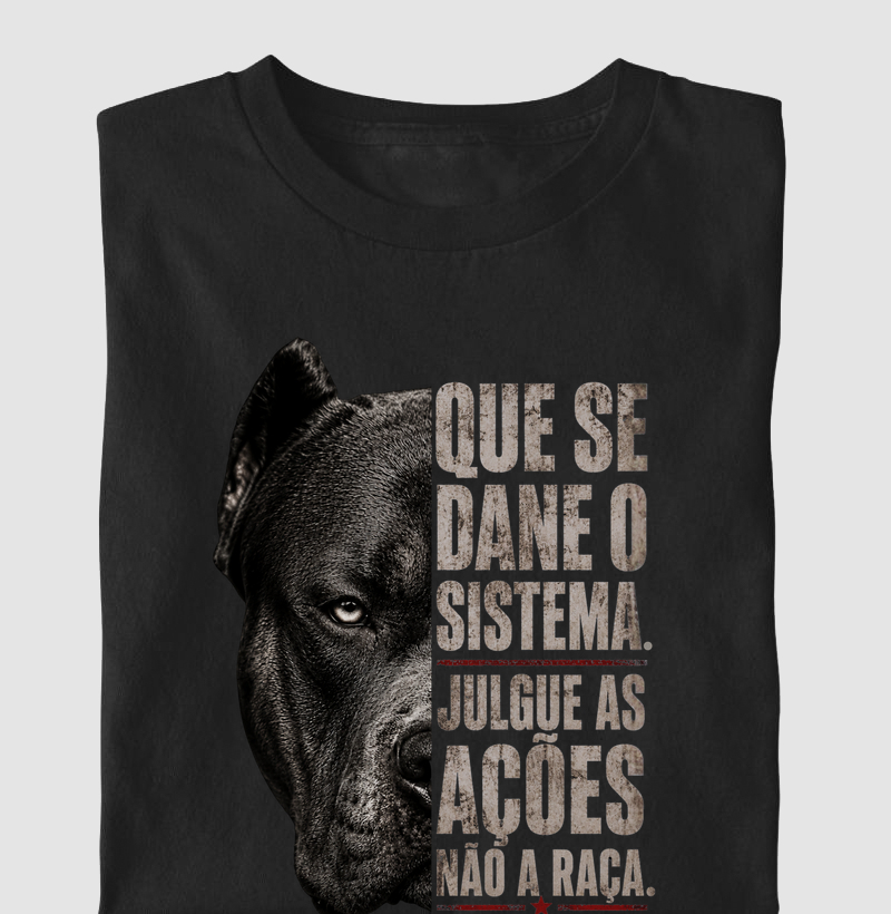 QUE DE DANE O SISTEMA. JULGUE AS AÇÕES NÃO A RAÇA.