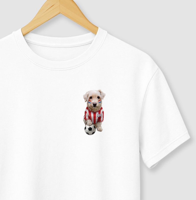 Cachorro Torcedor - Paraguai