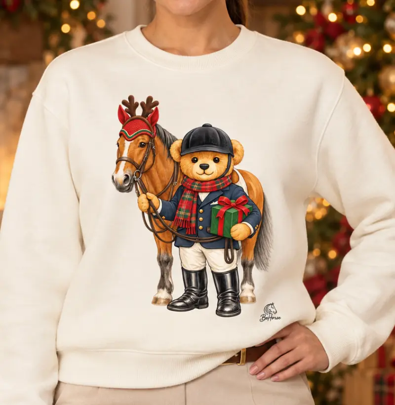 Bear de Natal Suéter  - Suéter Moletom